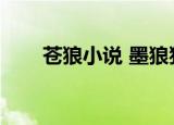 苍狼小说 墨狼狸狸小天（苍狼小说）
