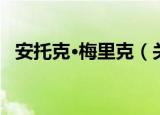 安托克·梅里克（关于安托克·梅里克介绍）