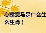 心猿意马是什么生肖谢谢百度（心猿意马是什么生肖）