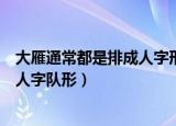 大雁通常都是排成人字形结队飞行（大雁飞行时为什么排成人字队形）