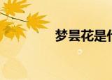 梦昙花是什么花（梦昙花）