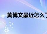 黄博文最近怎么了（黄博文为什么被骂）