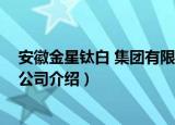 安徽金星钛白 集团有限公司（关于安徽金星钛白 集团有限公司介绍）