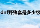 dnf野猪套是多少级版本的（dnf野猪套升级）