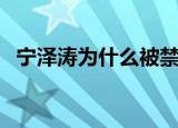 宁泽涛为什么被禁赛（宁泽涛为什么禁赛）