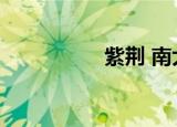 紫荆 南大（南大紫荆）