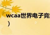 wcaa世界电子竞技（wca世界电子竞技大赛）