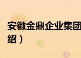 安徽金鼎企业集团（关于安徽金鼎企业集团介绍）