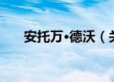 安托万·德沃（关于安托万·德沃介绍）