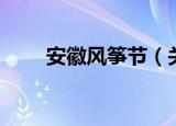 安徽风筝节（关于安徽风筝节介绍）