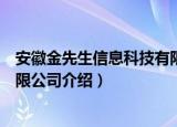 安徽金先生信息科技有限公司（关于安徽金先生信息科技有限公司介绍）