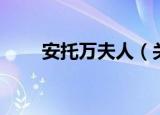 安托万夫人（关于安托万夫人介绍）