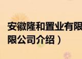 安徽隆和置业有限公司（关于安徽隆和置业有限公司介绍）