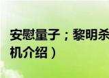 安慰量子；黎明杀机（关于安慰量子；黎明杀机介绍）