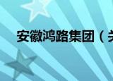 安徽鸿路集团（关于安徽鸿路集团介绍）