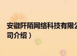 安徽阡陌网络科技有限公司（关于安徽阡陌网络科技有限公司介绍）