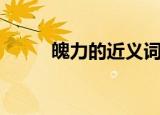 魄力的近义词语（魄力的近义词）