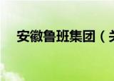 安徽鲁班集团（关于安徽鲁班集团介绍）