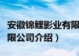 安徽锦鲤影业有限公司（关于安徽锦鲤影业有限公司介绍）