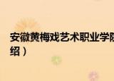 安徽黄梅戏艺术职业学院（关于安徽黄梅戏艺术职业学院介绍）