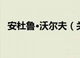 安杜鲁·沃尔夫（关于安杜鲁·沃尔夫介绍）