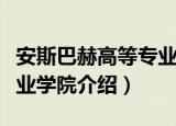 安斯巴赫高等专业学院（关于安斯巴赫高等专业学院介绍）