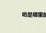 哟是哪里的口音（yoshin）
