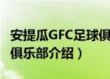 安提瓜GFC足球俱乐部（关于安提瓜GFC足球俱乐部介绍）