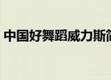 中国好舞蹈威力斯简介（中国好舞蹈威力斯）