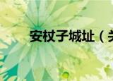 安杖子城址（关于安杖子城址介绍）