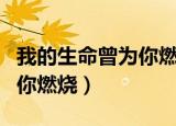我的生命曾为你燃烧杨洋吃肉（我的生命曾为你燃烧）