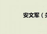 安文军（关于安文军介绍）