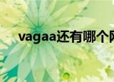 vagaa还有哪个网站（vagaa搜索限制）