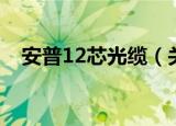安普12芯光缆（关于安普12芯光缆介绍）