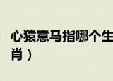 心猿意马指哪个生肖（心猿意马指的是什么生肖）