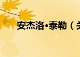安杰洛·泰勒（关于安杰洛·泰勒介绍）