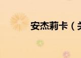 安杰莉卡（关于安杰莉卡介绍）