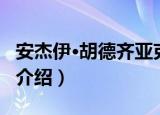 安杰伊·胡德齐亚克（关于安杰伊·胡德齐亚克介绍）