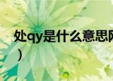处qy是什么意思网络用语（处qy是什么意思）