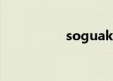 soguakk（soguakk）