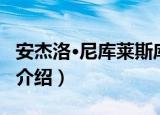 安杰洛·尼库莱斯库（关于安杰洛·尼库莱斯库介绍）