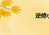 逆修小说（逆修）