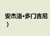 安杰洛·多门吉尼（关于安杰洛·多门吉尼介绍）
