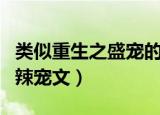类似重生之盛宠的辣宠文（类似重生之香途的辣宠文）