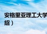 安格里亚理工大学（关于安格里亚理工大学介绍）