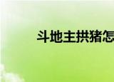 斗地主拱猪怎么玩（拱猪怎么玩）