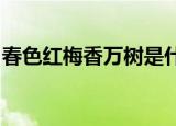 春色红梅香万树是什么生肖和动物求最佳答案