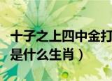十子之上四中金打一个动物（十子之上四中金是什么生肖）