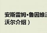 安斯雷姆·鲁因维沃尔（关于安斯雷姆·鲁因维沃尔介绍）