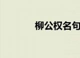 柳公权名句（柳公权的名言）